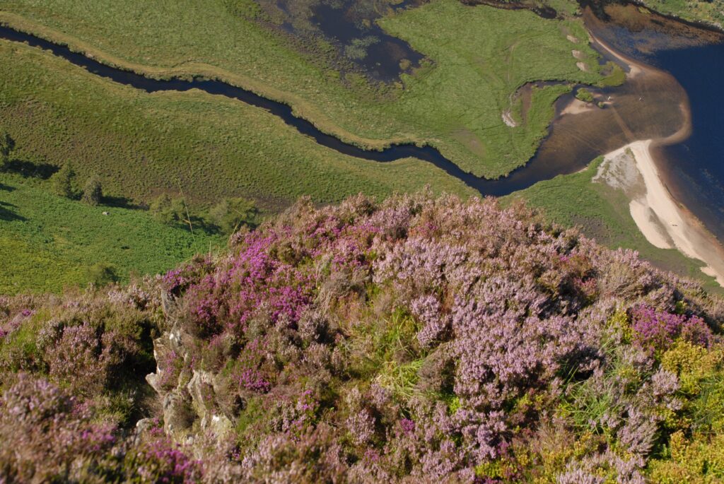 glendalough 26881951720 o