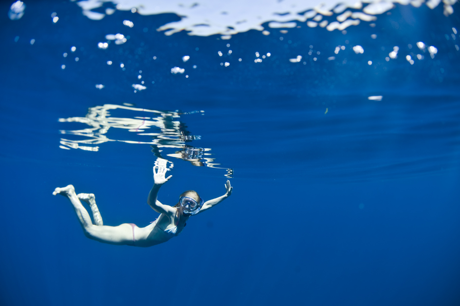 whale diver 4923903753 o