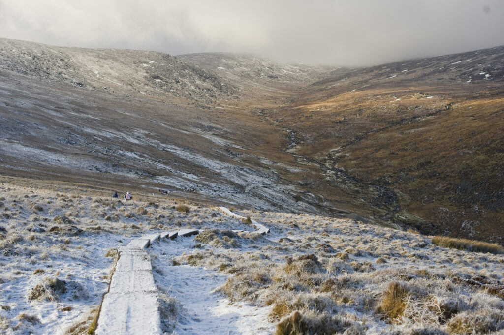 winter in wicklow 4426960551 o