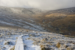 Photography winter in wicklow 4426960551 o