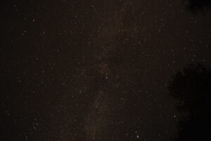 dsc 0005