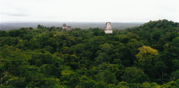 tikal view guatemala